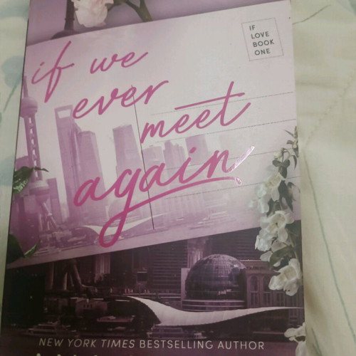 If We Ever Meet Again
