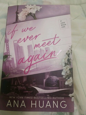 If We Ever Meet Again
