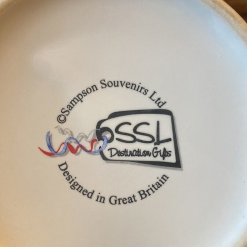Britain cup used