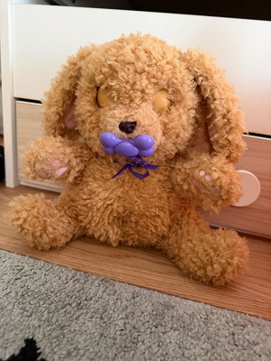 Baby Paws Labradoodle Puppy Dog New with Accessories