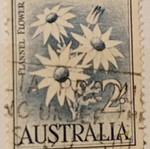 Australia stamp used