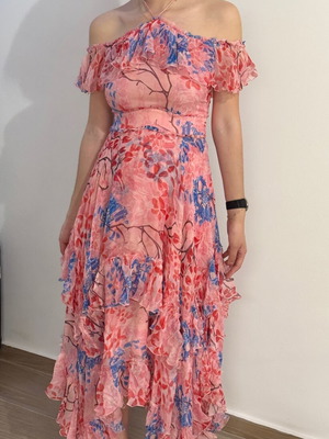 Alice Olivia Galina Maxi silk dress like new
