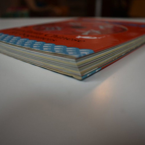 Easy-Peasy Chinese Book new, Mandarin for beginners