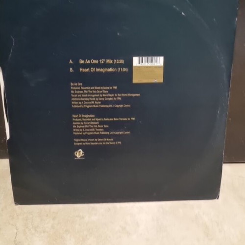 Sasha & Maria Be As One vinyl used
