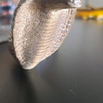 King Cobra figure used in attack pose