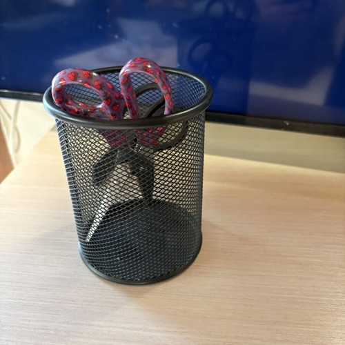 Metal pencil holder with 2 scissors like new