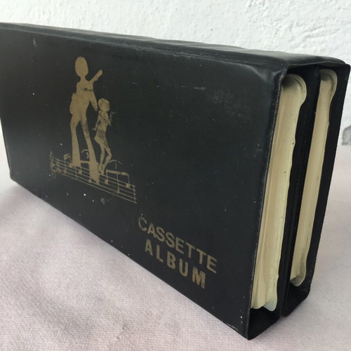 Cassette case with 12 slots handheld