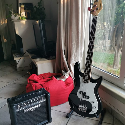 Behringer bass and amplifier used, professionally set up