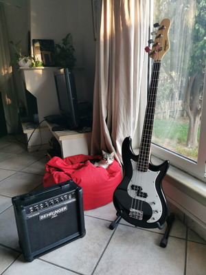 Behringer bass and amplifier used, professionally set up