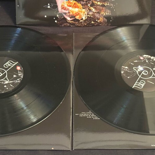 Biophilia 2LP 180g vinyl album like new