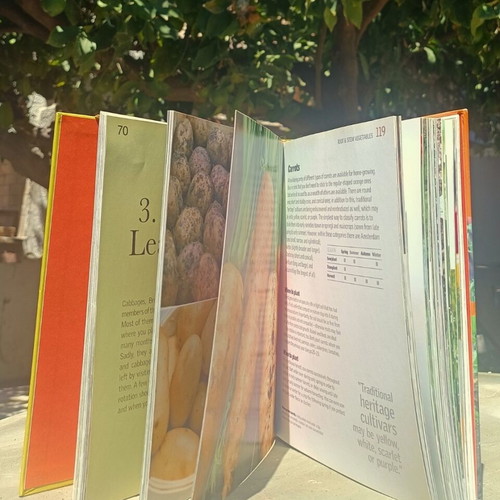 Grow Vegetables book like new, gardening guide for urban spaces