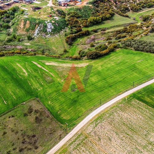 Buildable agricultural land 15,000 m² in Scholari Thessaloniki