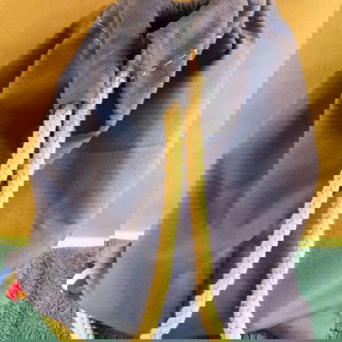 Τσάντα πλάτης πάνινη θαλάσσης μικρή σαν καινούργιο