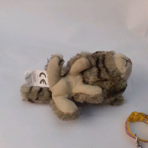 Stuffed cat used, small