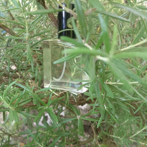 Mosquito Repellent Herbal Oil with Organic Oils new
