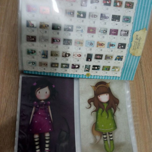 Santoro albums with Panini cards used, 2 pieces