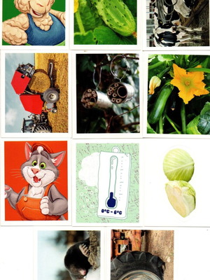 Delhaize Les Farm Idables cards new, set of 15 pieces