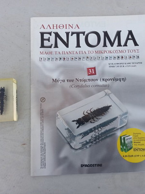 Dobson Fly Insect from Deagostini True Insects Series like new with book and label