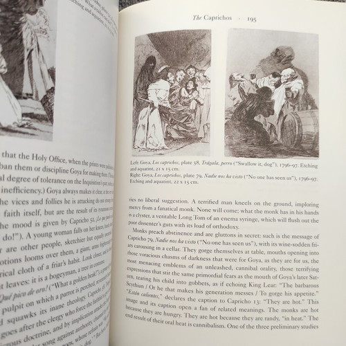 Goya by Robert Hughes book