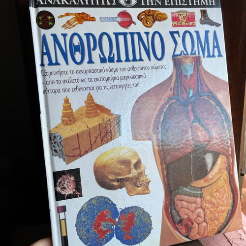Human Body Book like new for children