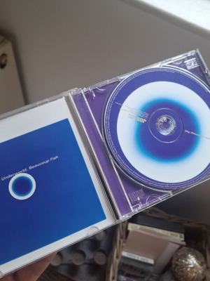 Underworld Beaucoup Fish CD near mint, electronic