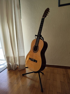 Cortez LCG851 acoustic guitar like new with case and stand