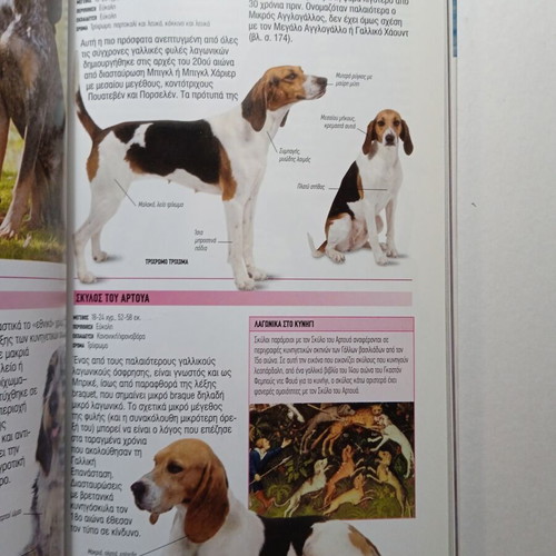 Dogs book like new, breeds, training, health, care, behavior, history