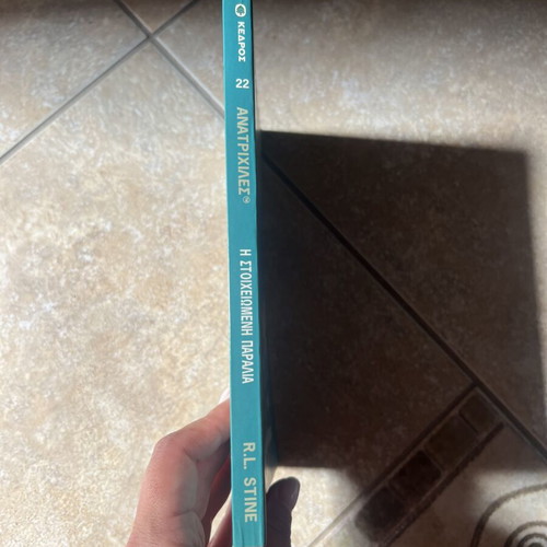 Goosebumps No 22 The Haunted Beach book like new