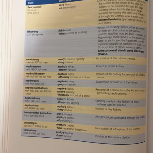 Specialized English Terminology in Health Sciences book new