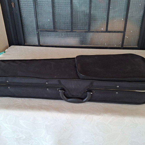 Violin case rectangular and mandolin gig bag used