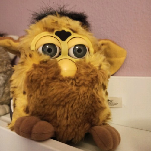 ferbi