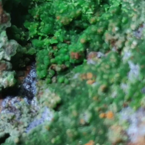 Conichalcite new, large and rich specimen from Lavrio