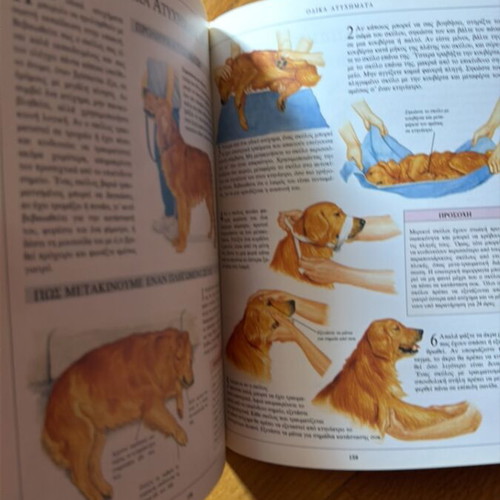 The Care of the Dog book like new, hardcover, 190 pages