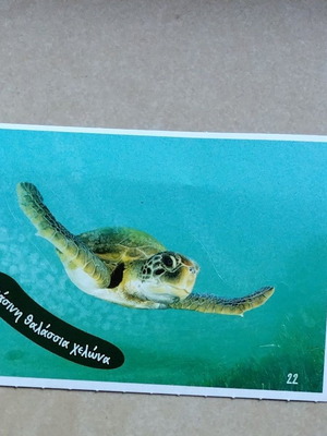 Exploring the Ocean Sticker No 22 new