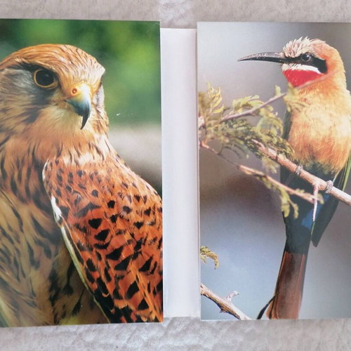 The Life of Birds 4 DVD set new with Greek subtitles