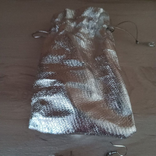 Earrings pair new with case silver