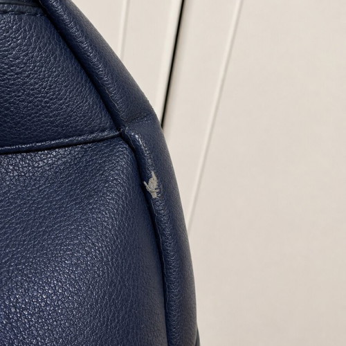 Caprisa blue backpack used with visible wear
