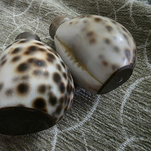 Salt and pepper set made of natural shell like new