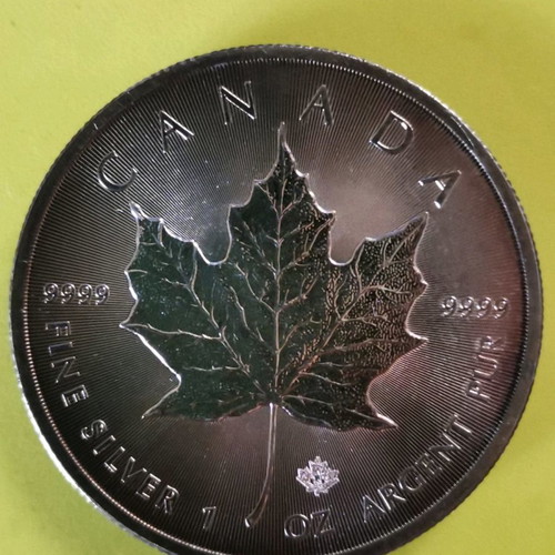 Coin Canada 5 Dollars 2019 new, Maple leaf silver 0.999