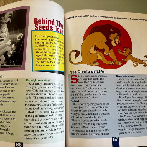 Birnbaum's Walt Disney World for Kids 2000 Millennium Edition book
