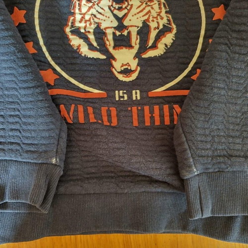 Orchestra sweatshirt used for boy 6 years old, size 116 cm, blue