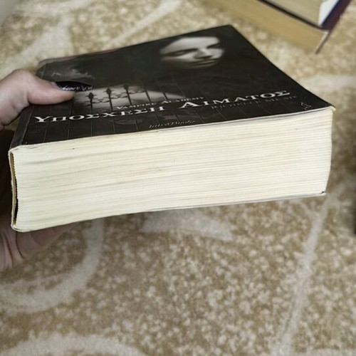 Blood Promise book like new