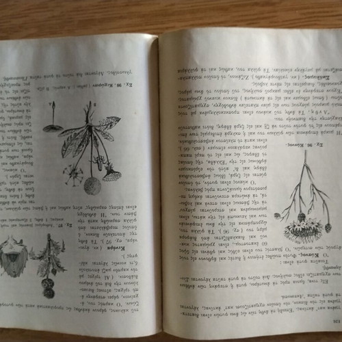 Phytologia Textbook 1964 used for Gymnasium 2nd Grade