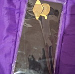 Graduation sash new