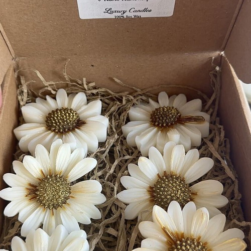 Wax melts with peony scent, daisies design, new