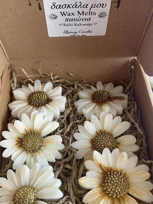 Wax melts with peony scent, daisies design, new