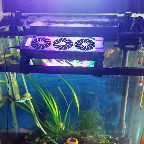 Aquarium 75 liters like new with live plants and accessories