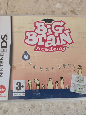 Big Brain Academy Nintendo DS game
