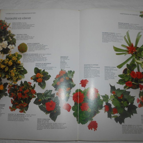Indoor Gardens used book by John Brookes