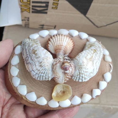 Small table decorations with seashells new